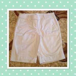 Ann Taylor Boardwalk Shorts